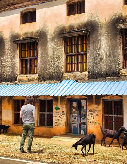 Man standing in front of a colorful doorway in Kanadukathan, Tamil Nadu while goats walk nearby.