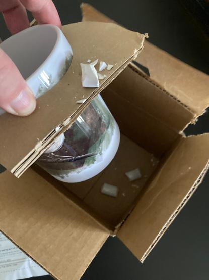 Photograph of a mug in delivery packaging with shattered handle.