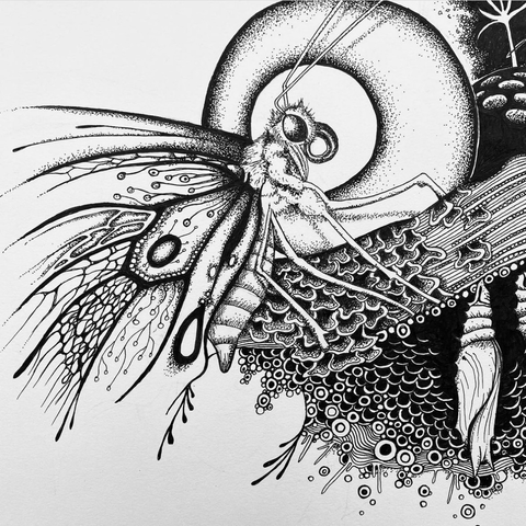 Butterfly with psychedelic patterns surrounding it