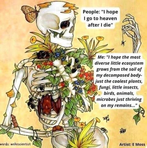 An illustration of a human skeleton standing and looking at a spider dangling from its hand while being overgrown with plant and insect life. Text reads, “People: "I hope I go to heaven after I die"

Me: "I hope the most diverse little ecosvstem grows from the soil of my decomposed body - just the coolest plants, fungi, little insects, birds, animals, microbes just thriving on my remains…”

Words: wokescientist
Artist: E Moss