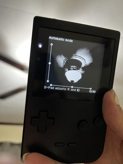 The Game Boy Mini Camera in use