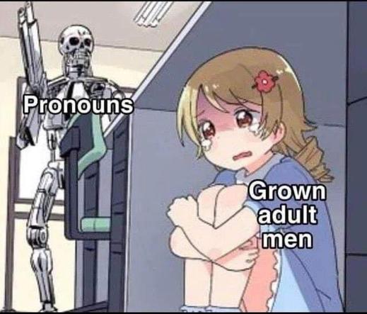 Cartoon of an armed robot, marked 'Pronouns,' and a whimpering child hiding under a desk, marked 'Grown adult men'.