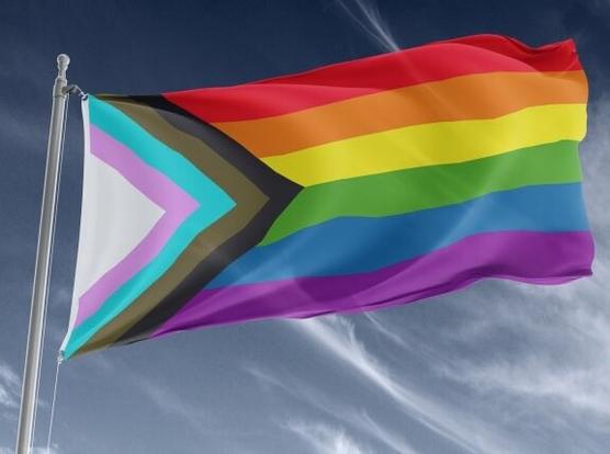Progress flag