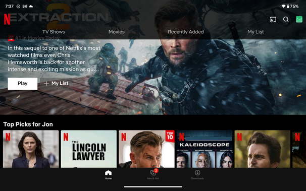 Netflix screenshot from Pixel tablet