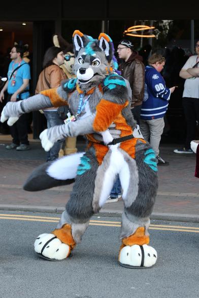 A wolf fursuiter with cyan and orange markings, dancing. Swinging hips to the left, and arms and tail to the right.