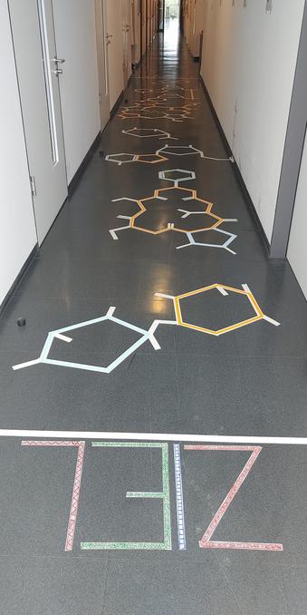 Formula jump through plant structures