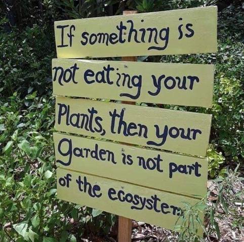 Handmade sign in garden “If something is not eating your plants, then  your garden is not part of the ecosystem”. Author unknown.