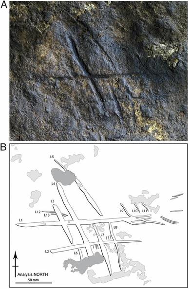 (A) Engraving from Gorham’s Cave. (B) Engraved lines L1–L13. Dark gray and light gray identify old and recent breaks, respectively. (SI Appendix, Fig. S21 shows the order of the engraving lines, breaks, and formation of the duricrust.) Note that the “Analysis North” shown here was used only to describe the order of the engraving lines.