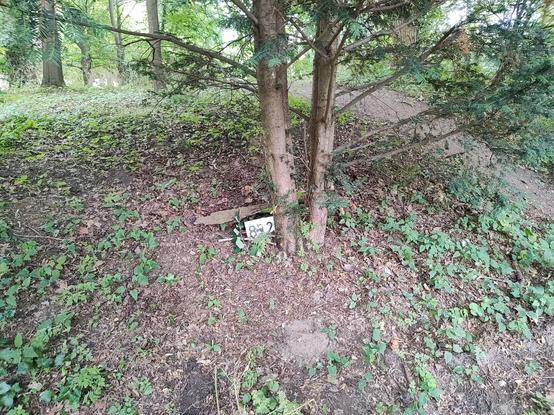 Ein Baum, vor dem mit Gehölz bedeckt eine kleine Kunstoffbox und ein Zettel mit der Nummer 872 steht.