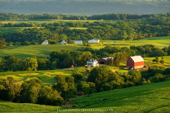 Farm fields separated by valleys filled with trees. Barns and houses sit on two of the fields. Warm morning light washes across the scene.