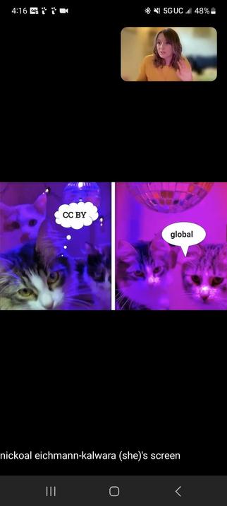 Cats, one saying CC-BY and another two saying global