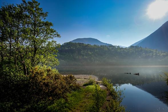 Shot across very still lake waters, with trees on left frame, with woodland and mountains in background, clearly reflected in the water. Sun and blue skies above
