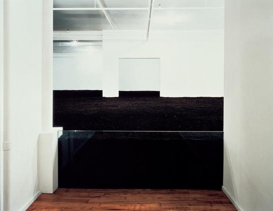 DIA Art Foundation color photo of the New York Earth Room (1977-present) looking into a NY City loft flat in Soho. The walls are all white. All contents have been removed and replaced with many tons of dark topsoil, rising up to waist height. We look through a transparent glass wall, only a few inches taller than the "earth" which allows the viewer to see the topsoil in cross section. The topsoil fills up the bottom few feet of multiple rooms. The viewer can get up close to, and even smell, the soil, but cannot enter the art installation -- by the late Walter De Maria (1935-2013). 

Caption and photo credit: "Walter De Maria, The New York Earth Room, 1977. © Estate of Walter De Maria. Photo: John Cliett"