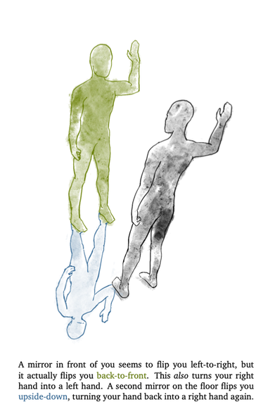 A diagram illustrating how mirrors don't flip you left-to-right, but front-to-back.