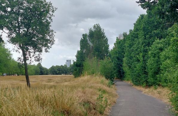 A tarmac path with dry grass on the left and trees on the right. The path leads ahead and disappears in the trees.