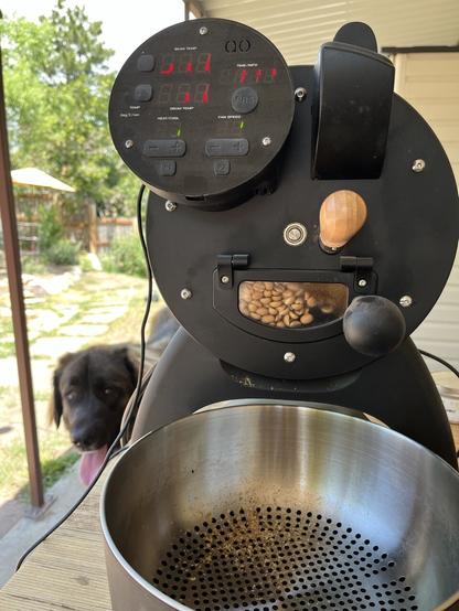 My coffee roaster, a matt black cylinder, looks like a science fiction prop. To the left a dog, with her tongue hanging out, photobombs the shot.