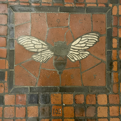 photo of the floor tile mosaic, tops down view of a cicada (but labeled as “LOC-UST”) in square black frame inlaid on surrounding red tile floor, numbered 103.