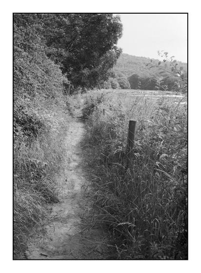 Black and white film photo of a footpath by a farm field