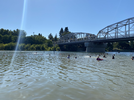 Russian river with bridge and people swimming I. The water