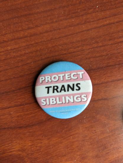 Protect Trans Siblings