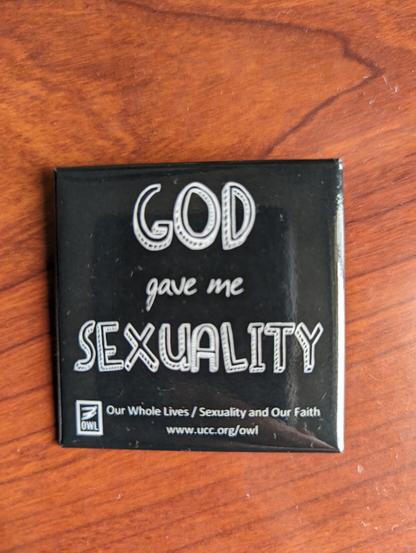 God gave me sexuality