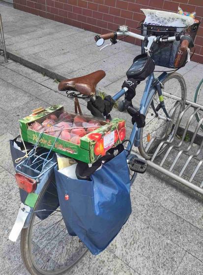 La bici carica di spesa. In evidenza i due sacchetti che si fissano al portapacchi