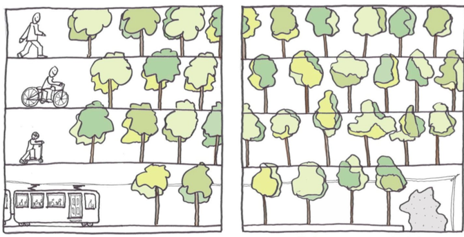 I mezzi della mobilità sostenibile