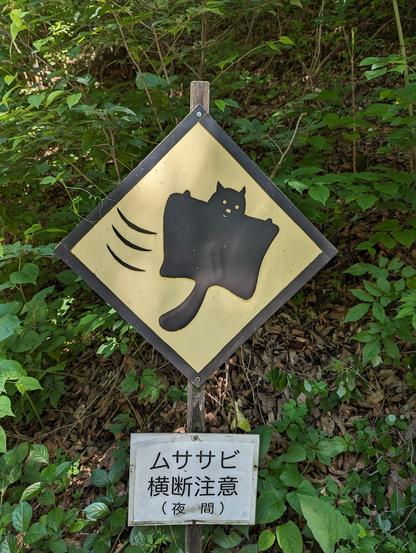 A warning sign about low-flying flying squirrels with an illustration of a flying squirrel.