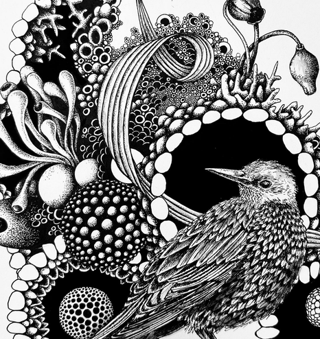 A starling sitting on the right, encircled by psychedelic patterns. On the left some weird tubes and bulbs