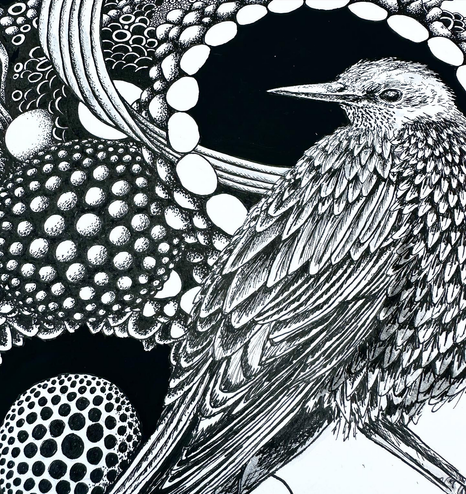 Detail of the Starling, and on the left a 3D ball with dots