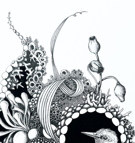 A ribbon in the middle with flowers on the right and strange circles and coral shaped figures on the left