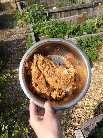 Rough irregular brown pieces of shortbread that look exactly like a fried chicken breast