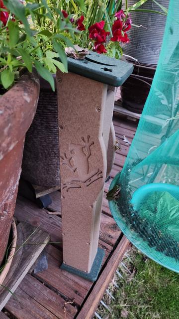 Hanging mesh fly trap next to a tree frog house with 3 different frogs nearby it waiting to eat the flies inside.
