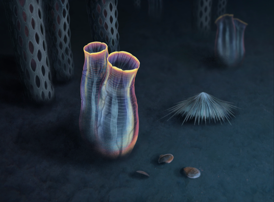 Artistic reconstruction of Megasiphon thylakos, a benthic organism that lived directly on the seafloor.
