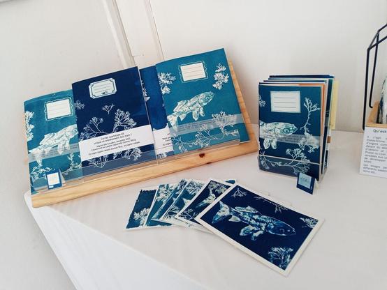 Carnets et cartes postales en cyanotype. Série algues et Blacky le poisson qui nageait à contre courant.