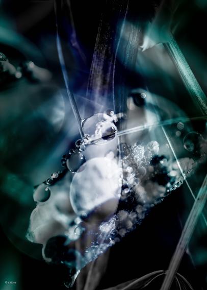 color photography in portrait format. superimposed exposure of macro photos of leaves and blades of grass, on whose water-repellent surfaces water droplets sit like pearls and glitter in the light. Due to the different photos, the overall structure appears complete and the eye follows individual rows of water drops without being able to identify a single shape at first glance. the color spectrum of this photo is in the blue-greenish range.