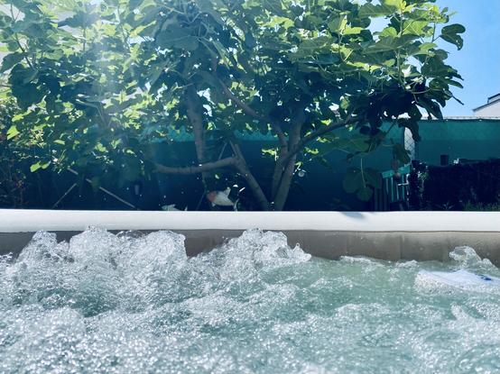 Whirlpool in Betrieb vor einem Feigenbaum