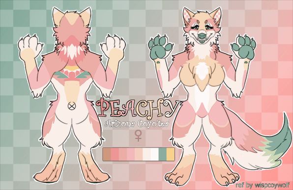 Mini ref sheet for Peachy the coyote (@thelonelypariah@twitter.com)