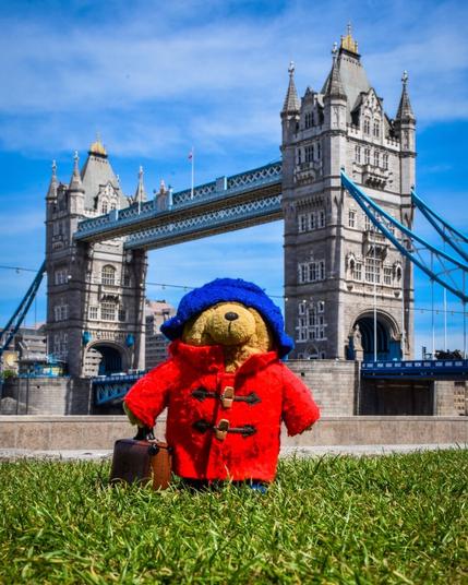 A bear called Paddington in front of Tower Bridge in London, UK 🇬🇧