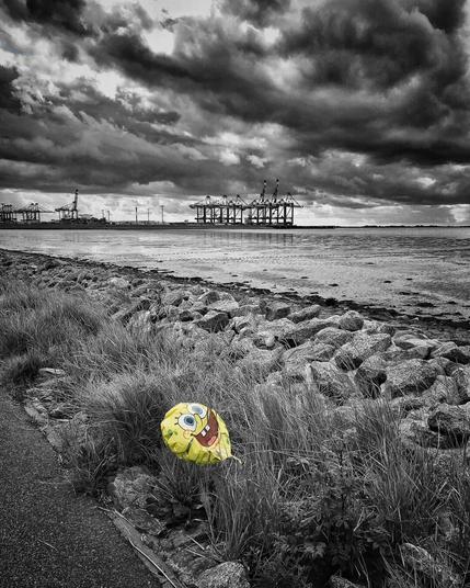 A color key photo of Bremerhaven's container terminals in dramatic b/w. In the foreground, a coloured SpongeBob balloon is trapped in the grass.