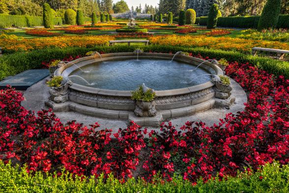 This is Duncan Garden. It is local attraction in the city I live, Spokane. This beautiful garden is part of the Manito Park system that also includes a greenhouse,  Japanese garden and rose garden. Duncan Garden is  a classical European Renaissance-style garden.