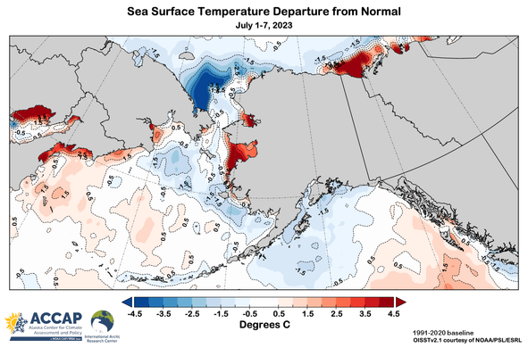 Sea surface temperature departures from normal for the seas near Alaska and vicinity for the week of July 1-7, 2023.