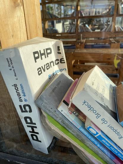 books for Kids to borrow. one is „Advanced PHP 5“