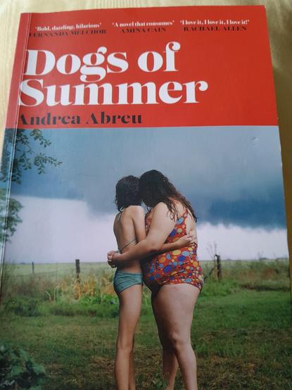 Book cover from 'Dogs Of Summer' by Andrea Aberu. The cover is a photo of two young girls hugging each other while standing in a green field