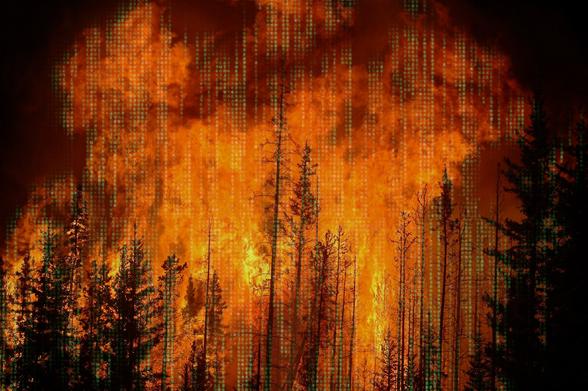 A forest wildfire. Peeking through the darks in the stark image are hints of the green Matrix "waterfall" effect.

Image: 
Cameron Strandberg (modified)
https://commons.wikimedia.org/wiki/File:Fire-Forest.jpg

CC BY 2.0
https://creativecommons.org/licenses/by/2.0/deed.en