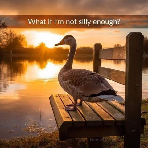 A grey goose stands on a park bench overlooking a picturesque lake as the dawn sun rises. 
Caption: What if I'm not silly enough?