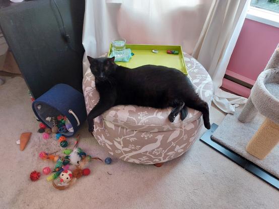 Black cat Hoagie laying on a cream colored ottoman with his toys scattered across the floor