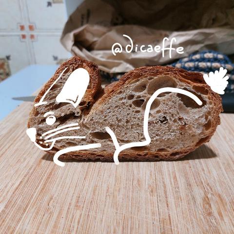 The draw of a bunny over the photo of a slice of bread