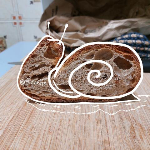 The draw of a snail over the photo of a slice of bread