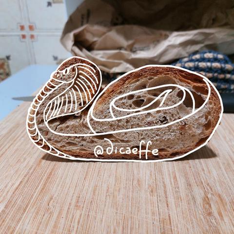 The draw of a snail over the photo of a slice of bread
